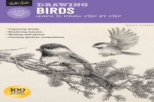 Drawing Birds: Learn to draw step by step